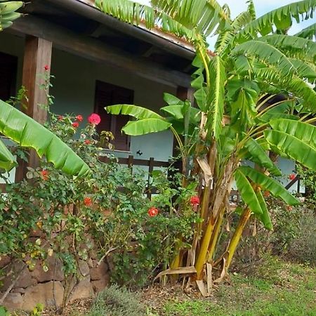 Agriturismo Su Tiresi Cala Gonone Kültér fotó