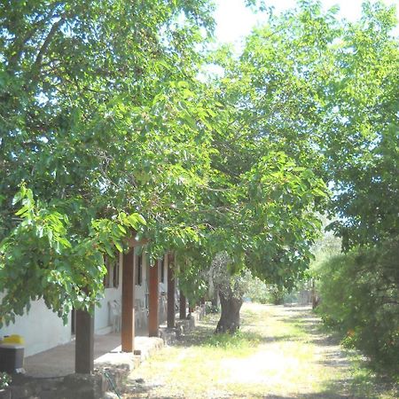 Agriturismo Su Tiresi Cala Gonone Kültér fotó