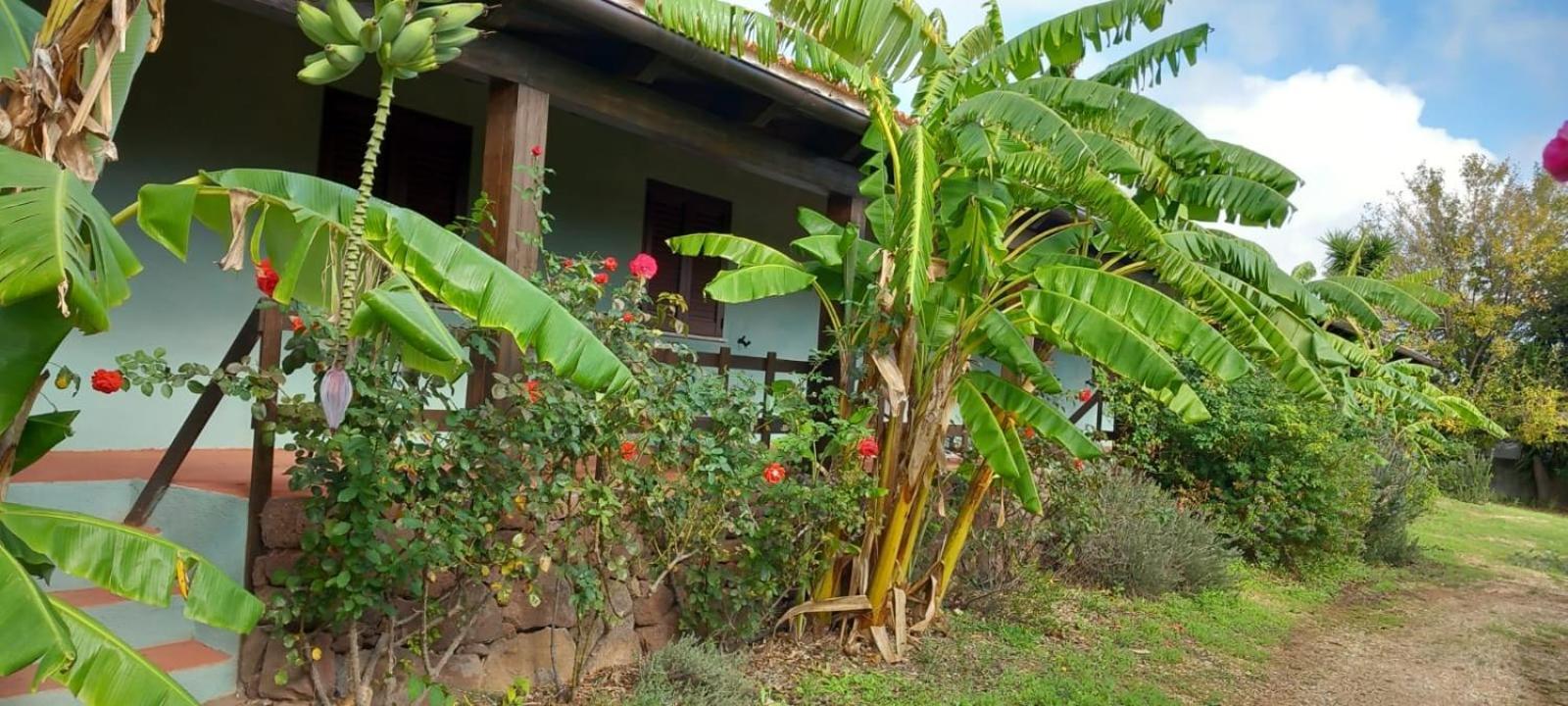 Agriturismo Su Tiresi Cala Gonone Kültér fotó