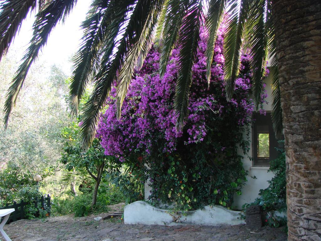 Agriturismo Su Tiresi Cala Gonone Kültér fotó