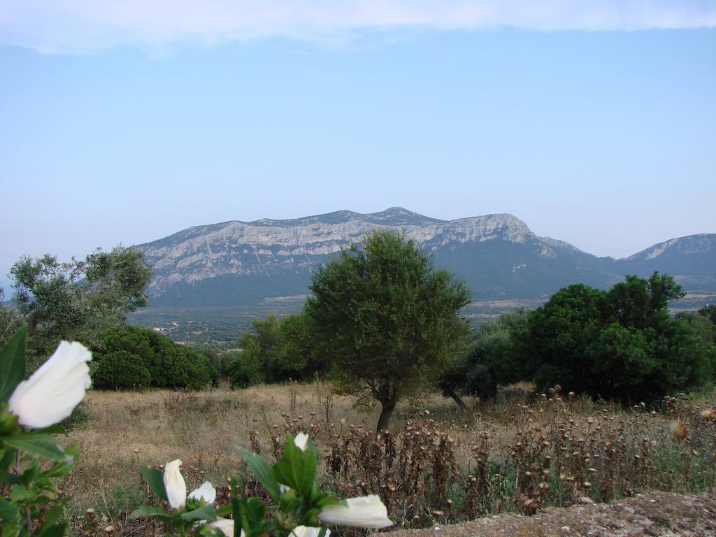 Agriturismo Su Tiresi Cala Gonone Kültér fotó