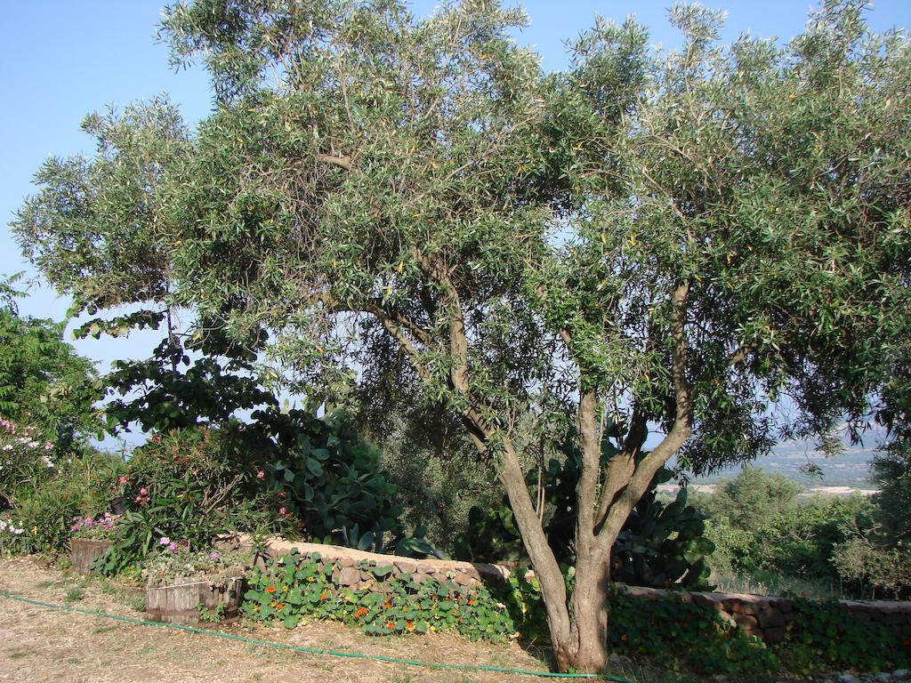 Agriturismo Su Tiresi Cala Gonone Kültér fotó
