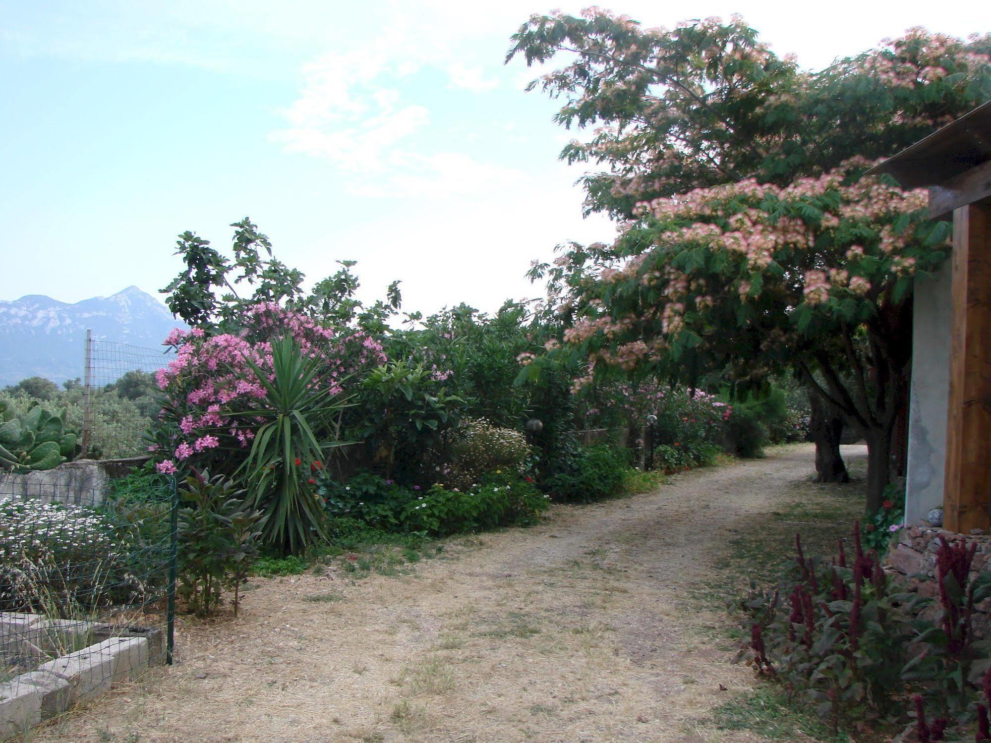 Agriturismo Su Tiresi Cala Gonone Kültér fotó