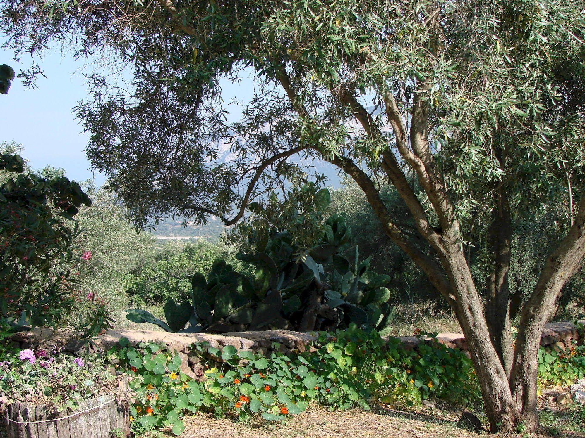 Agriturismo Su Tiresi Cala Gonone Kültér fotó