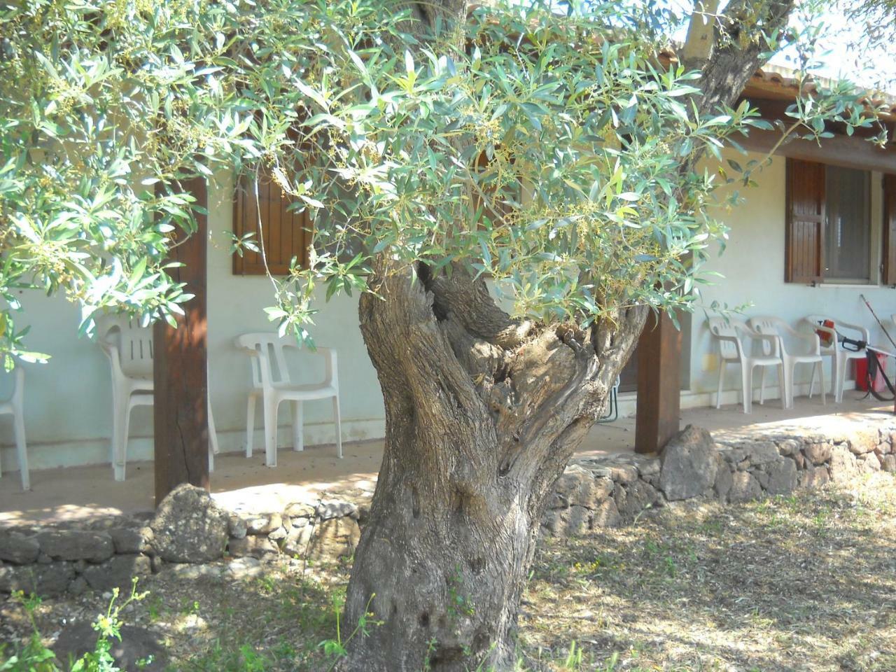 Agriturismo Su Tiresi Cala Gonone Kültér fotó