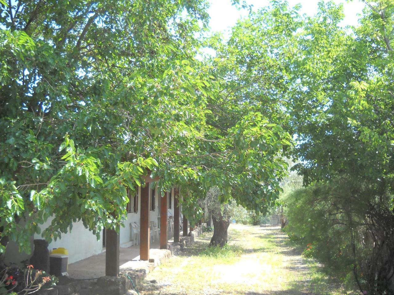 Agriturismo Su Tiresi Cala Gonone Kültér fotó