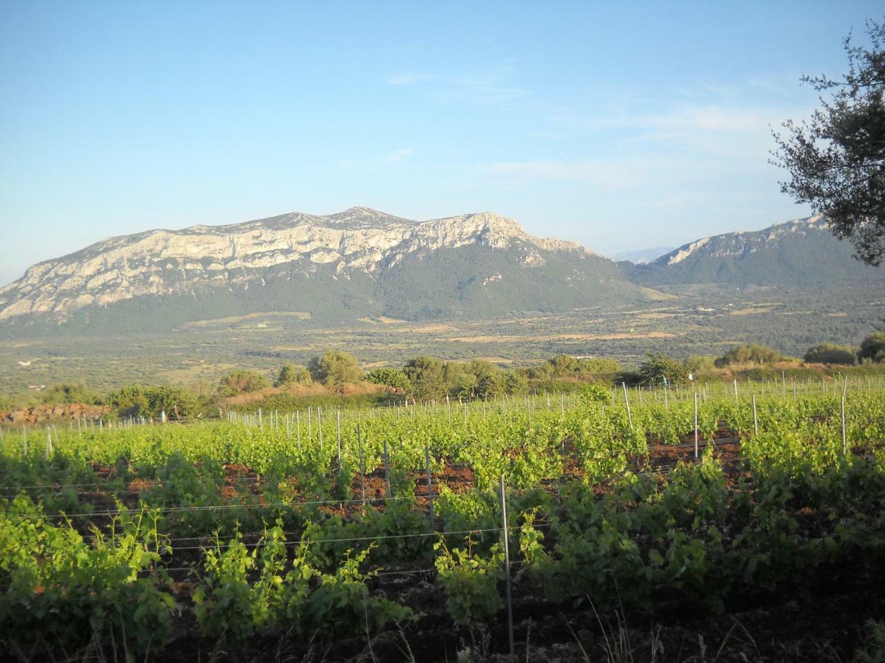 Agriturismo Su Tiresi Cala Gonone Kültér fotó